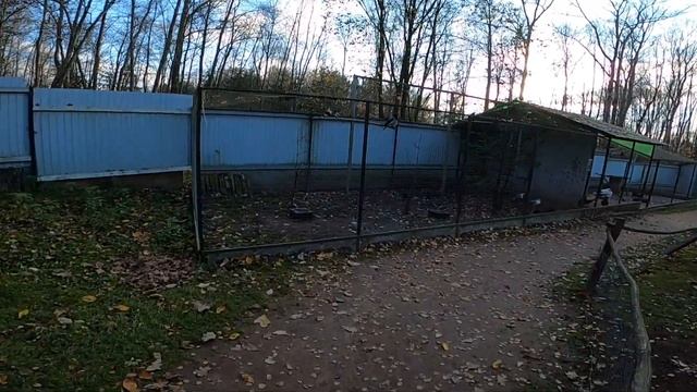 Пушкинские горы. Могила А.С.Пушкина. Зооград [Жизнь в деревне] смотреть онлайн