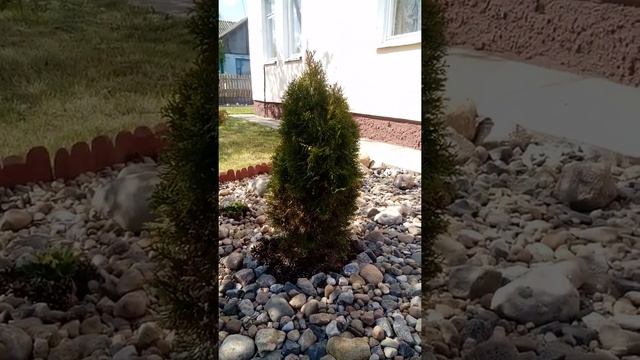 Рокарий своими руками смотреть онлайн