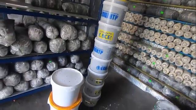 Извечные поиски лучшего смотреть онлайн