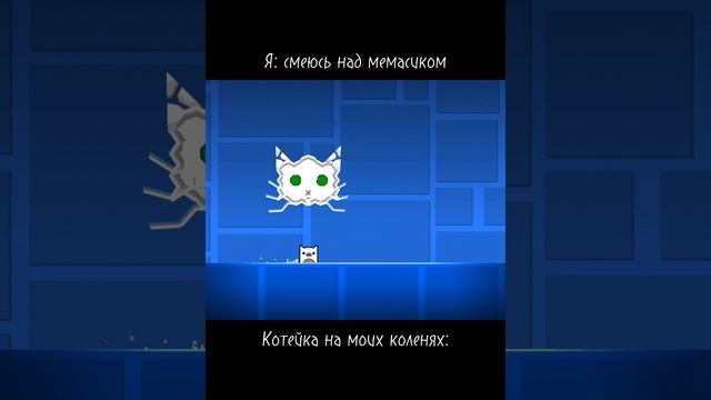 Мем про котика смотреть онлайн