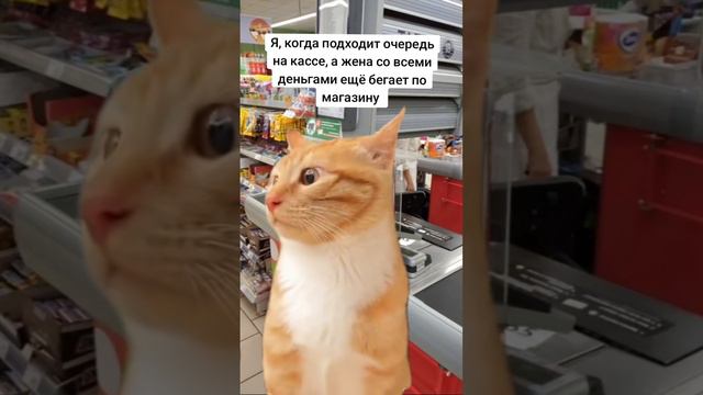 #очередь на кассе смотреть онлайн