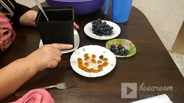 Хурма посадка из косточки - показываю поэтапно. смотреть онлайн