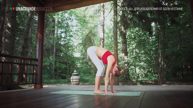 Йога 60+ для избавления от боли в спине за 15 минут | Йога для людей зрелого возраста смотреть онлайн
