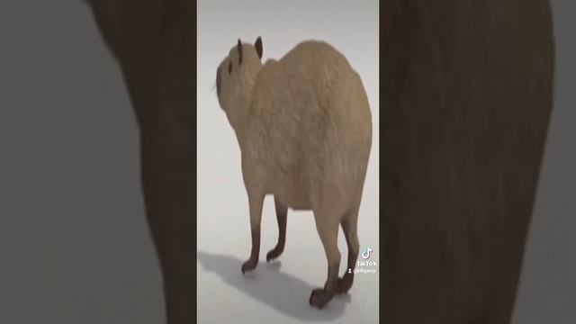 это видео длится секунду смотреть онлайн