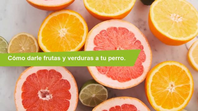 ¿Tu PERRO puede comer LIMÓN?🐶🍋¡La Verdad! смотреть онлайн