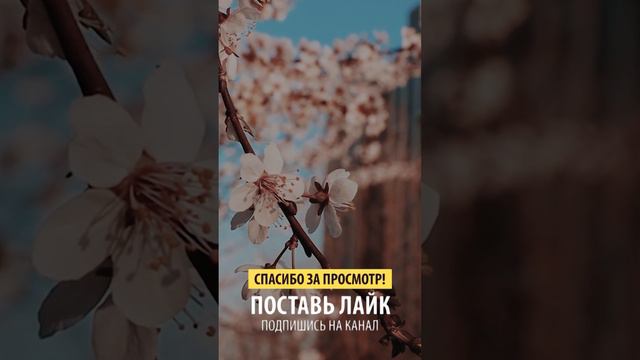 Да -да смотреть онлайн