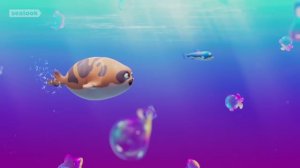 Морские Котики: Никогда не останавливайся есть! | Эпизод 87 🐾🍽️