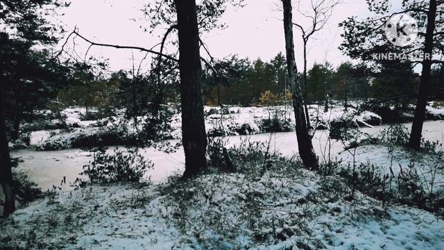 Юрмала. С овчаркой на природе или как правильно ставить ударение смотреть онлайн