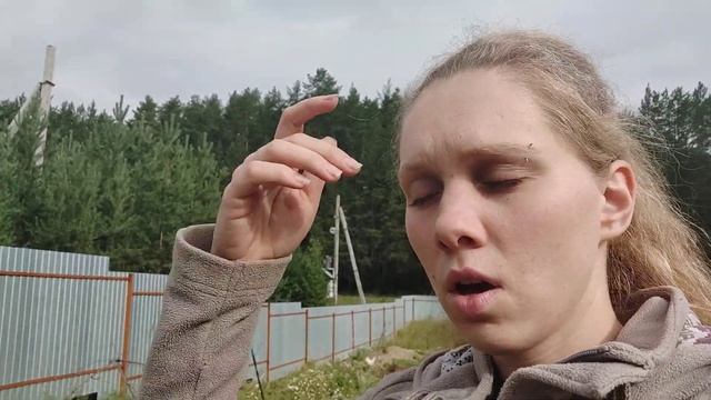 Утки, куры, хищник воришка, сравнение уток агидель и фаворит смотреть онлайн