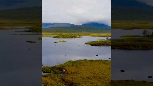 #вересковыепустоши #heatherwasterland #scotland #uk смотреть онлайн