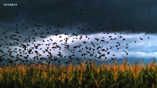 ♫ АТМОСФЕРА !!! СТРЕЛЫ ЗЕВСА !!!.mp4 смотреть онлайн