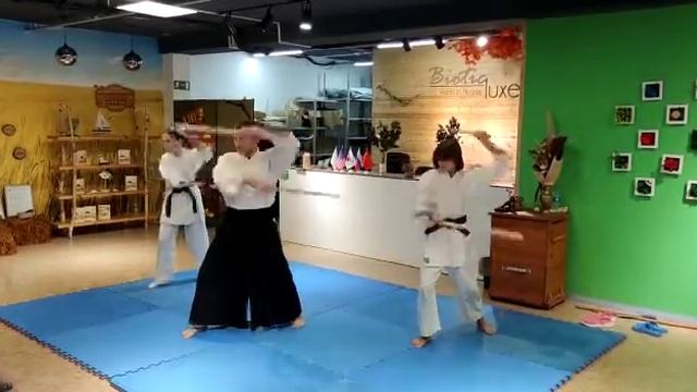 Фланкировка. Айкидо смотреть онлайн