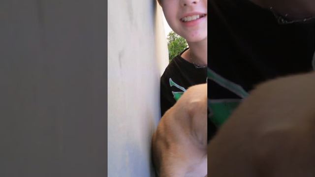 катаемся по магазинам#очень жарко#филя чуть не выбежал на дорогу#Vlog смотреть онлайн