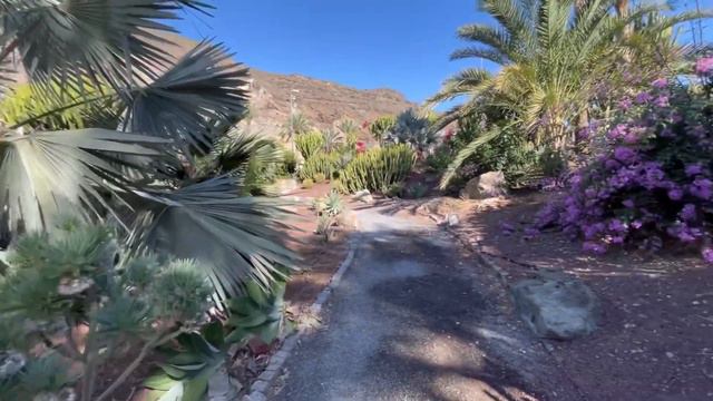 Taurito Spain - Hotel Paradise обзор спортивной зоны кактусы природа #new #ukraine #spain смотреть онлайн