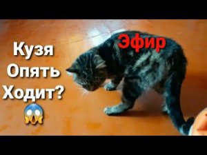 Новости О Кузе И Не Только