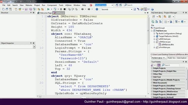 Aplicações Multicamadas com Delphi, FireDAC, DataSnap e Oracle смотреть онлайн