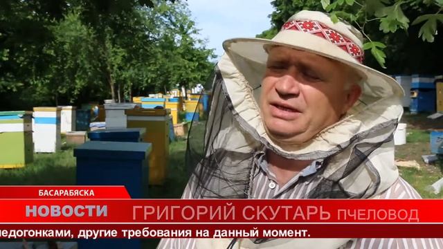 ПЧЕЛОВОДСТВО НЕ БИЗНЕС, А ЖИЗНЬ смотреть онлайн