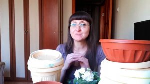 Выбор правильного горшка для комнатного растения -  залог успешного выращивания и пышного цветения.