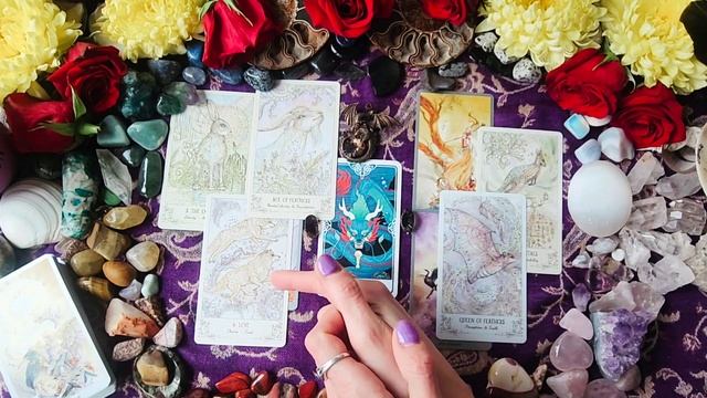 Week January 23 - 29 : The Boy with the Dragon Perl смотреть онлайн