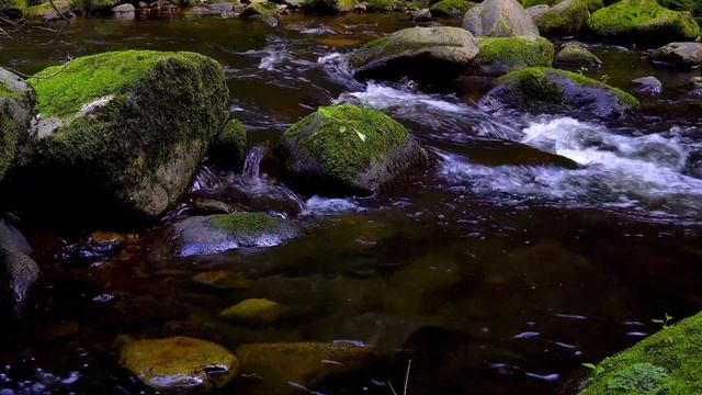 Спокойная музыка для релаксации со звуками журчания воды/Calm music for relaxation смотреть онлайн