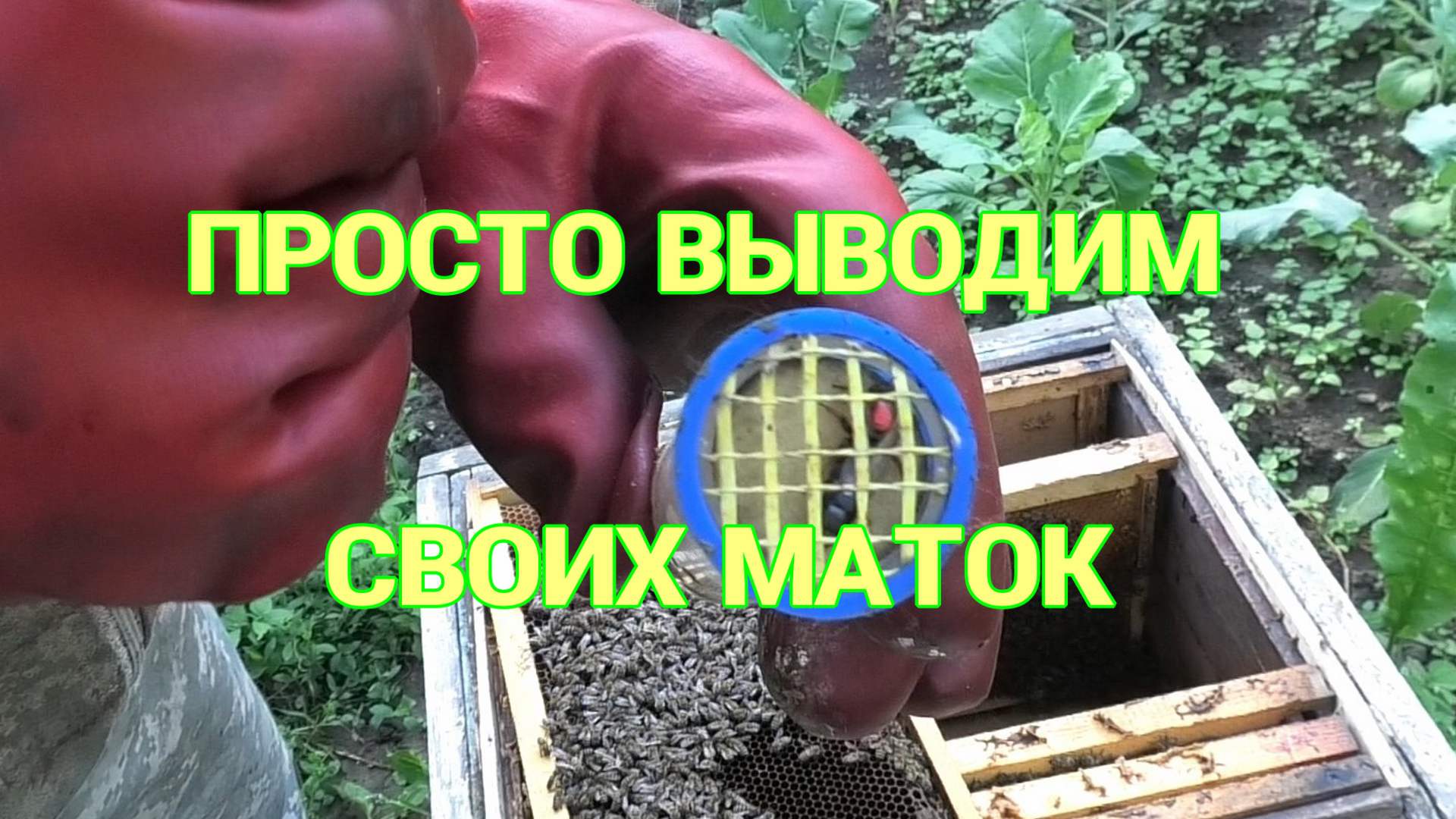 КОНТРОЛЬ ПОЗДНИХ ОТВОДКОВ смотреть онлайн