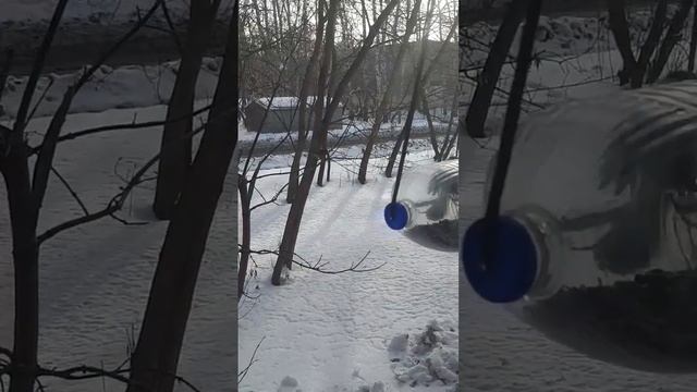 Кормушка для синиц с защитой от голубей) смотреть онлайн