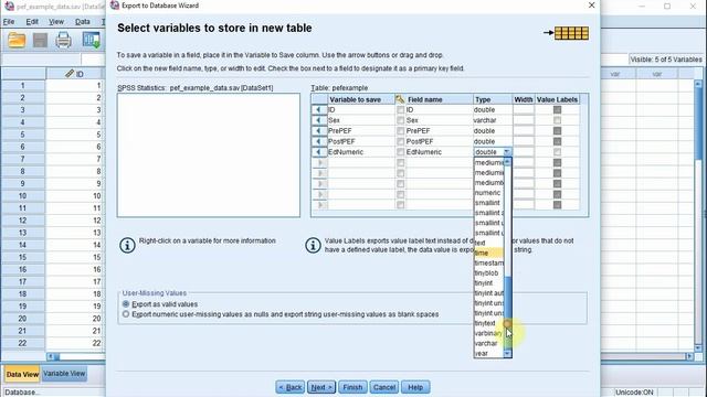 Easy SPSS Tutorial: Export from SPSS to a MySQL Database смотреть онлайн