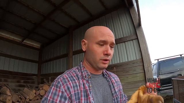 Mediocre Tips for Newbie Farmers смотреть онлайн