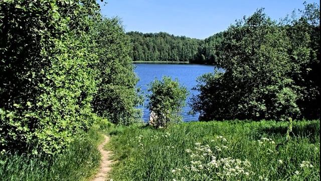 Ты кукуй, кукушка смотреть онлайн