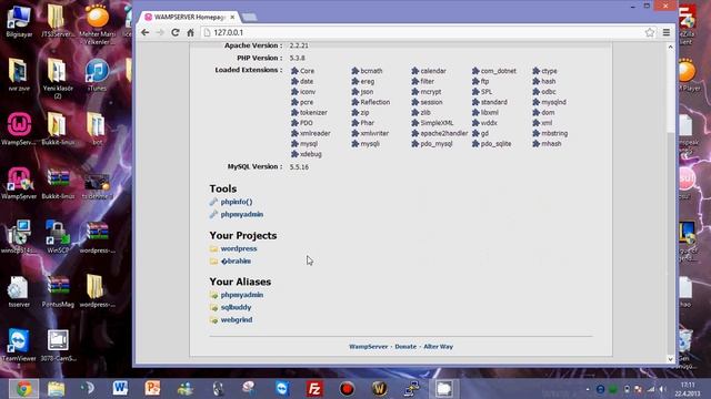 Local Host Wordpress Kurulumu смотреть онлайн