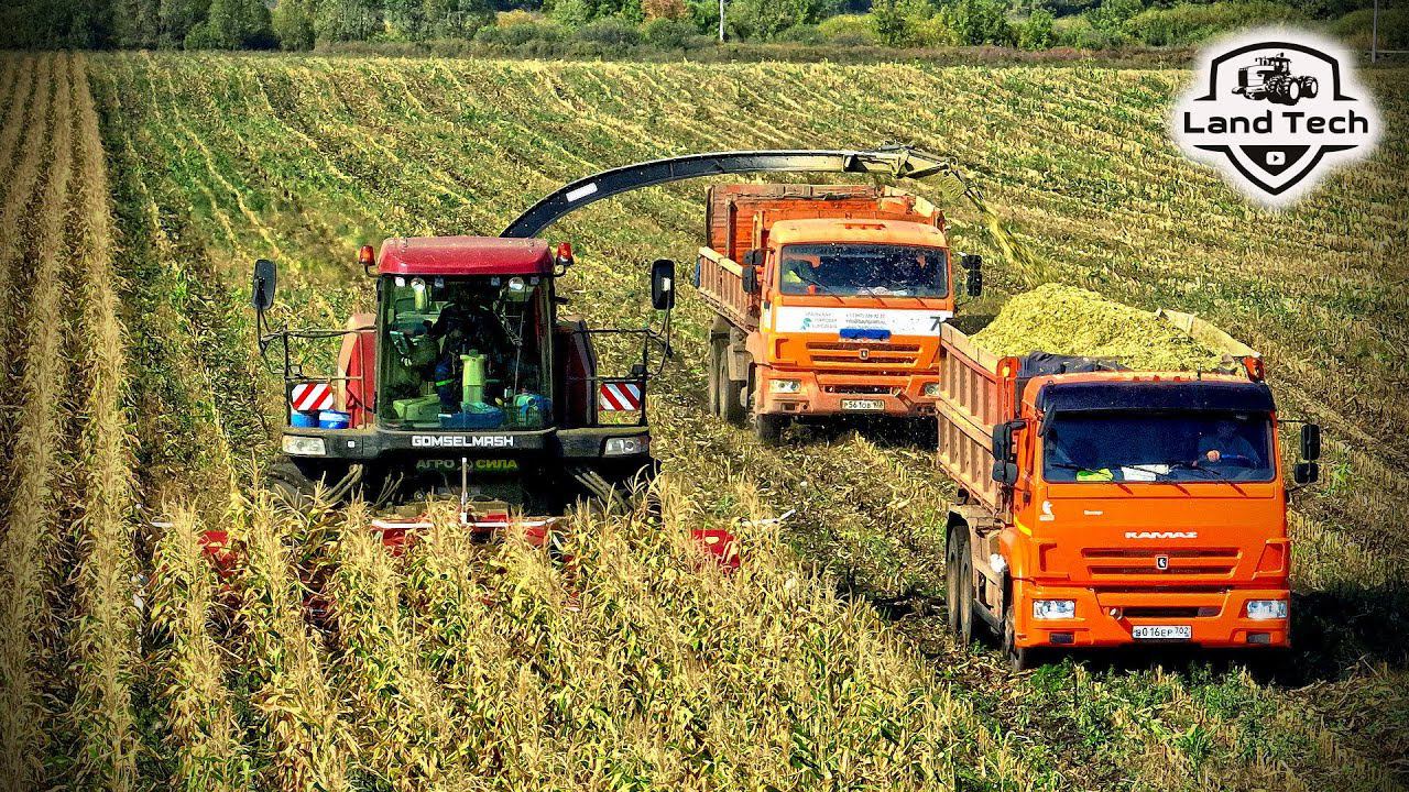 ПОЛЕСЬЕ FS8060 - Самый мощный кормоуборочный комбайн ГОМСЕЛЬМАШ! Заготовка силоса! смотреть онлайн