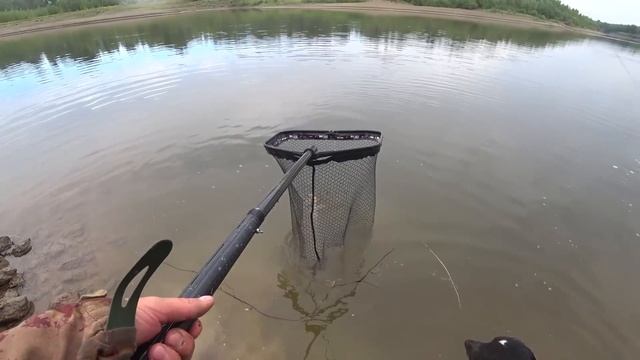 ТАКОГО ЕЩЕ НЕ ВИДЕЛ! 3 за 20 МИНУТ!!! Ловля ДИКОГО САЗАНА на Ахтубе. Ловля сазана. Рыбалка 2023. смотреть онлайн