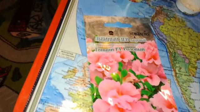 Как сажать Ампельную Лобелию и Львиный зев смотреть онлайн