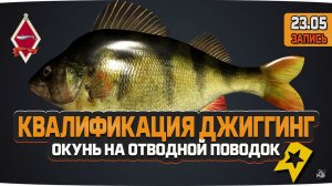 Квалификация Джиггинг. Трофейный Окунь на Отводной Поводок — Русская Рыбалка 4