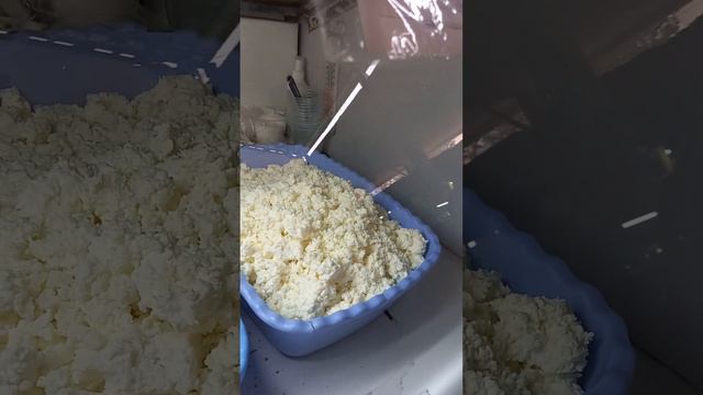 Ташкент .Юнус Абад молочное.Все время многие спрашивают что такое каймак и сузьма? смотреть онлайн