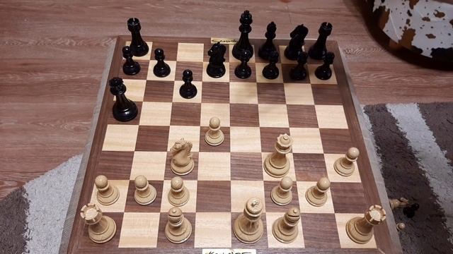 Шахматы. Толковая ловушка. Слон и пешка за 1 ход поставили мат. Шахматные уроки. смотреть онлайн