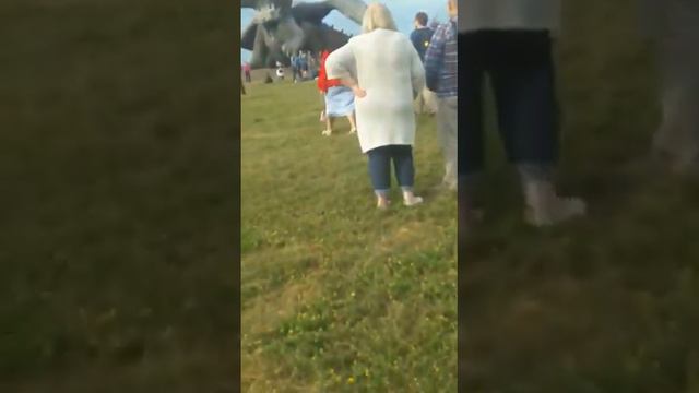 Я на кудыкиной горе, дракон дышит огнём смотреть онлайн