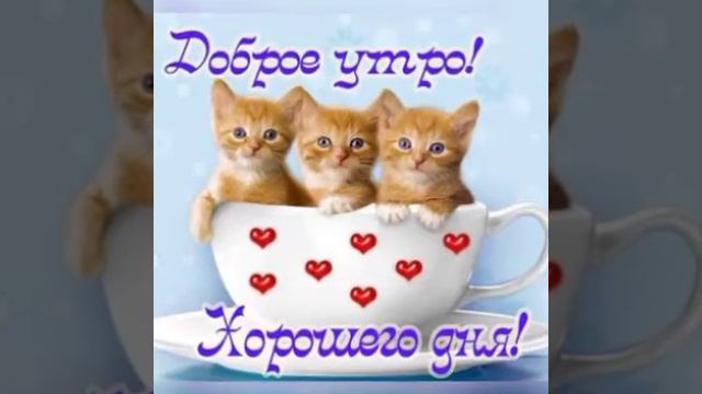 Хорошего и удачного дня! смотреть онлайн