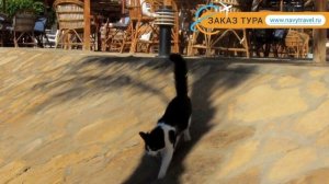 HAPPY LIFE VILLAGE 4* Египет Дахаб отзывы – отель ХЭППИ ЛАЙФ ВИЛЛАДЖ 4* Дахаб отзывы видео