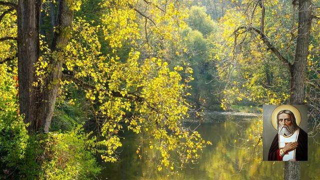 Благодать Божия. Прп. Серафим Саровский / Саровский цветник. Наставления старцев Саровской пустыни смотреть онлайн