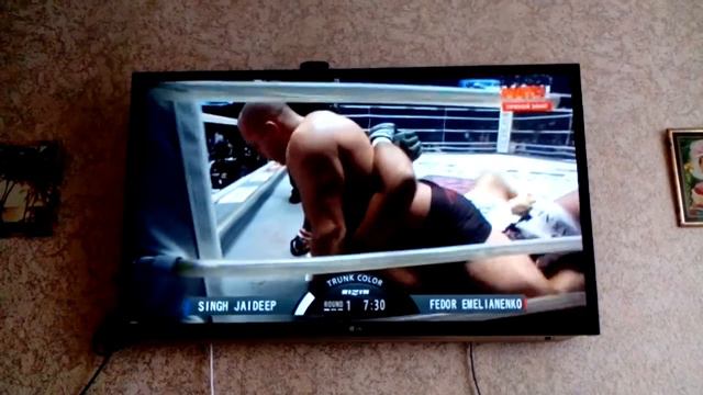 Федор Емельяненко! бой 31.12.2015 смотреть онлайн