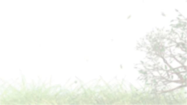 GAME FOR CATS - BEST 2023 Cats TV compilation ??? [60fps] 3 HOURS смотреть онлайн