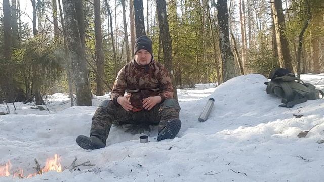 ПОХОД В ЛЕС. ВЕСНА ПРИШЛА! ДИКАЯ КУХНЯ, ГОТОВЛЮ СТЕЙКИ,ГРИБЫ И ОВОЩИ НА КОСТРЕ! смотреть онлайн