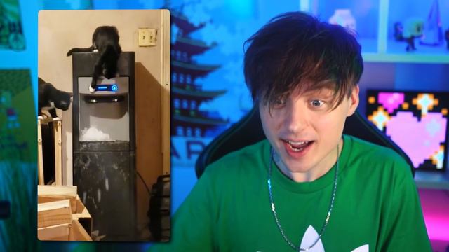 Доказательства Того Что Котики Мудаки смотреть онлайн