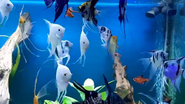 релакс под хорошую музыку смотреть онлайн