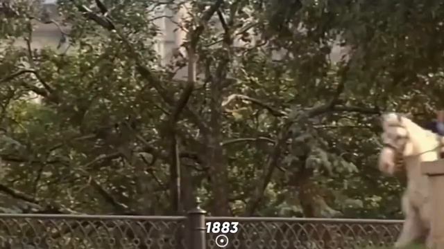 22 августа День российского флага смотреть онлайн