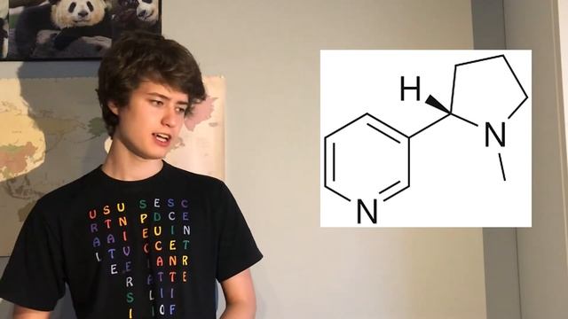 Нейробиология. Часть 3. Синаптическая передача смотреть онлайн