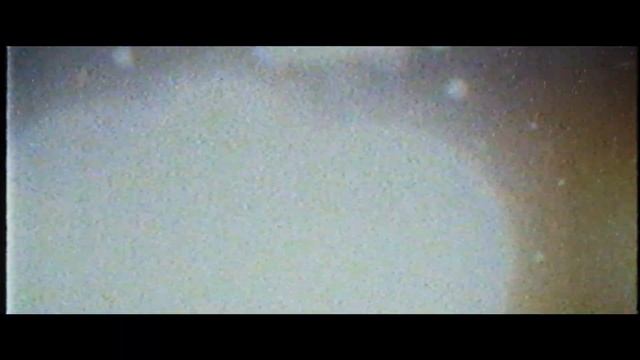 как твои дела? привет, давай сниматься в... (anim - Rxwe)