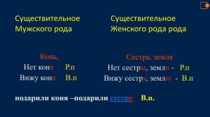 Русский язык. Различие родительного и винительного падежей.