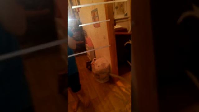Давай дружить смотреть онлайн